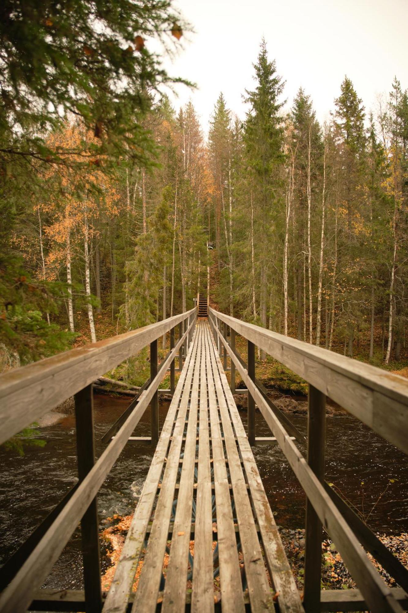 Langforsen Glamping & Lapland Experience Hotel Lapptrask Bagian luar foto