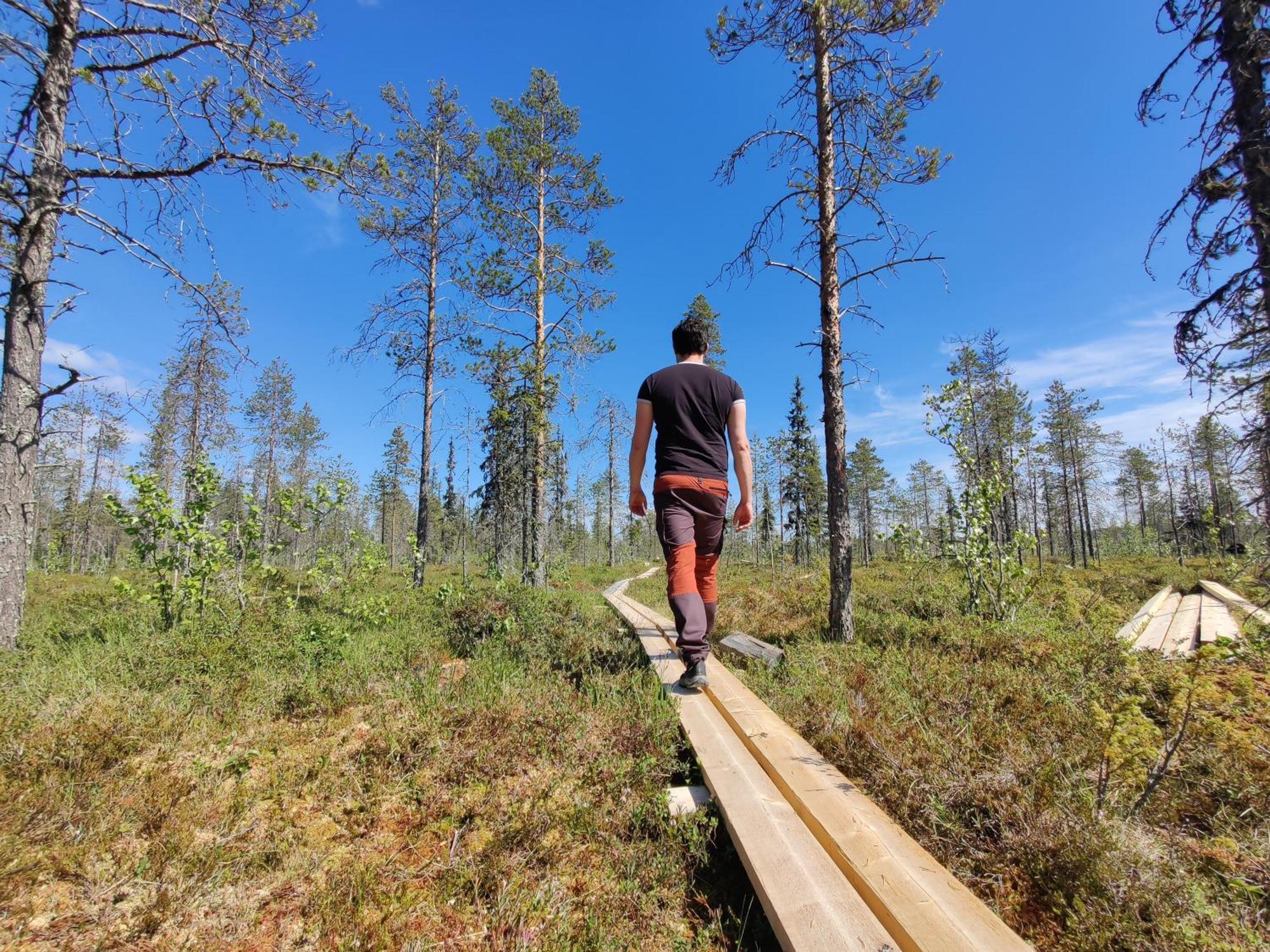 Langforsen Glamping & Lapland Experience Hotel Lapptrask Bagian luar foto