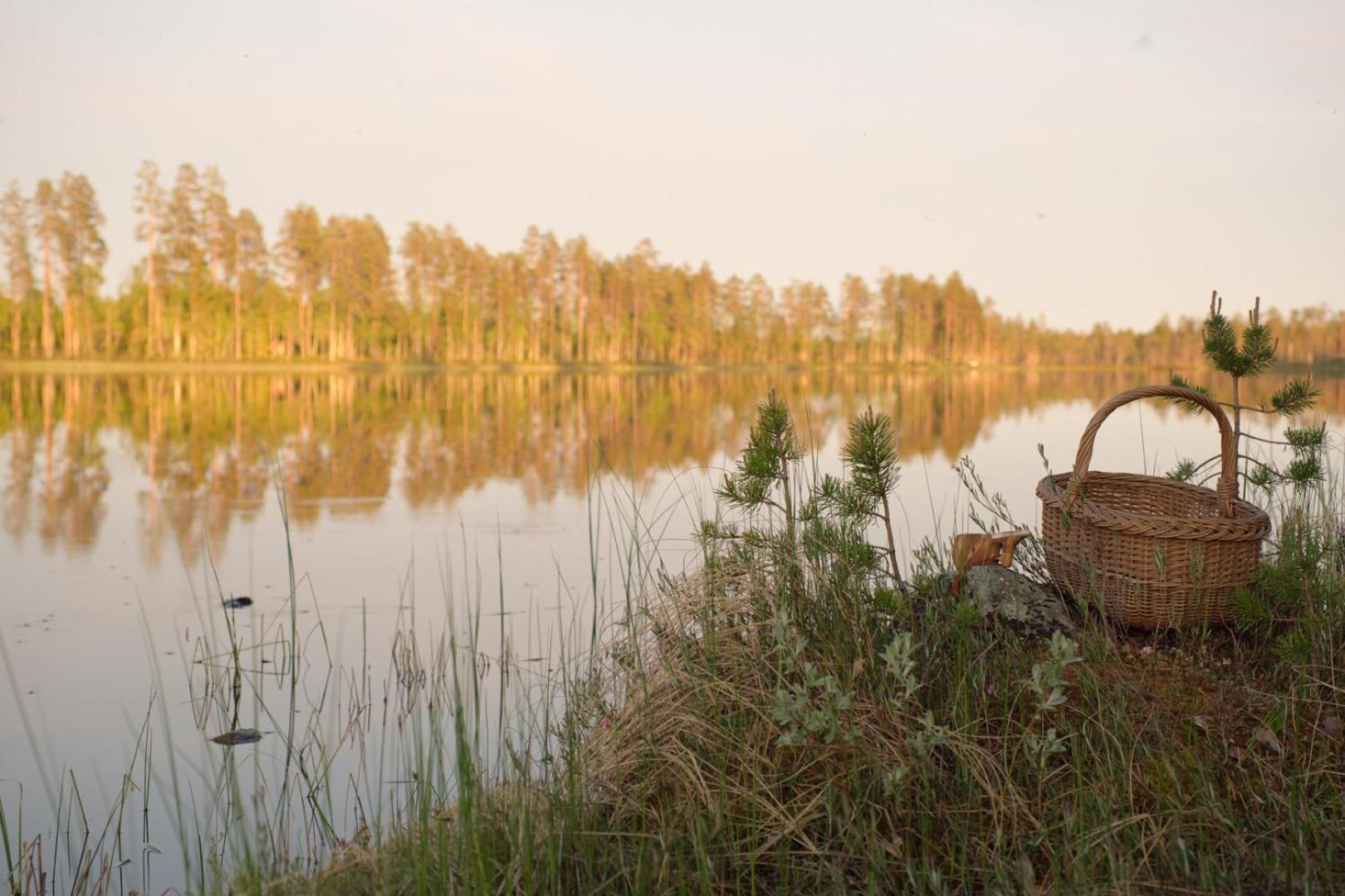 Langforsen Glamping & Lapland Experience Hotel Lapptrask Bagian luar foto