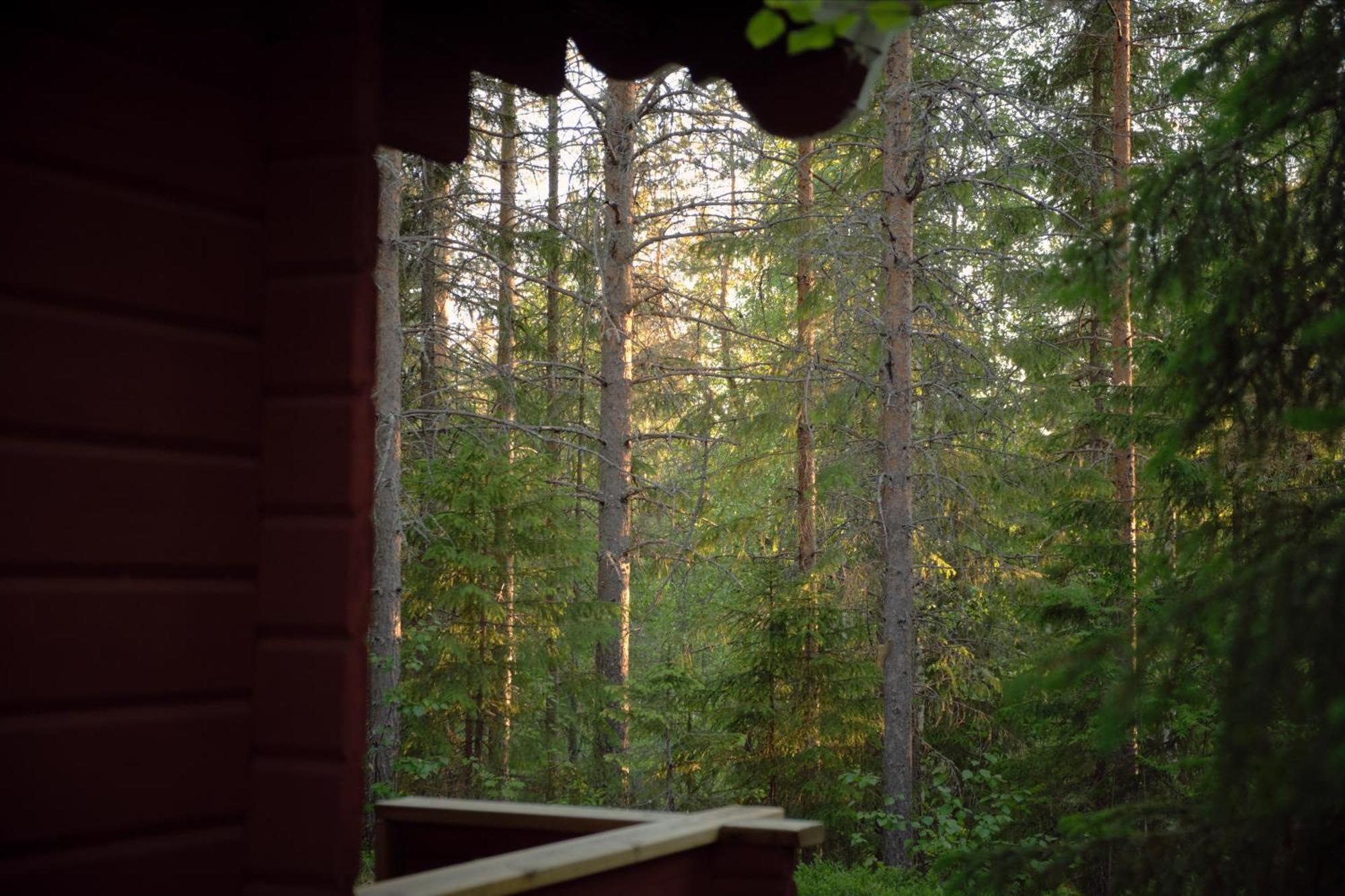 Langforsen Glamping & Lapland Experience Hotel Lapptrask Bagian luar foto
